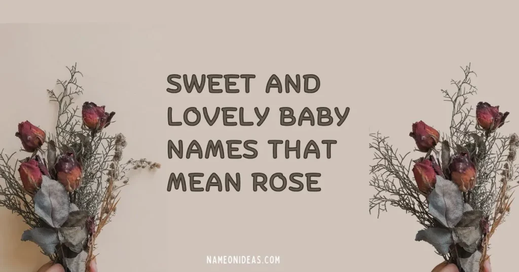 Sweet and Lovely Baby Names That Mean Rose